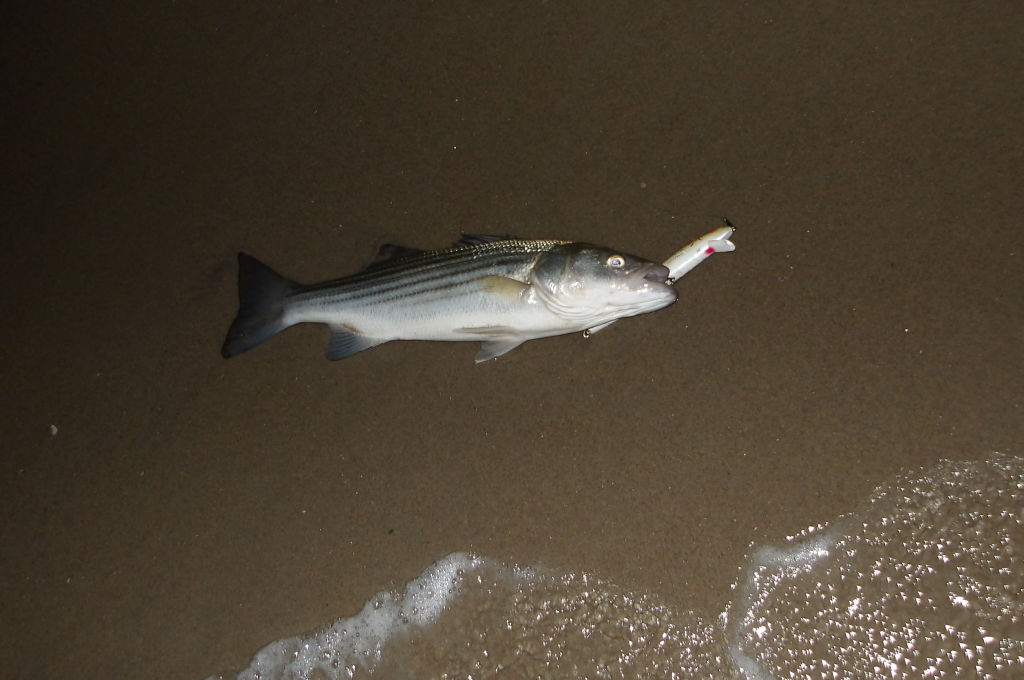 6/14/2026 Redfin