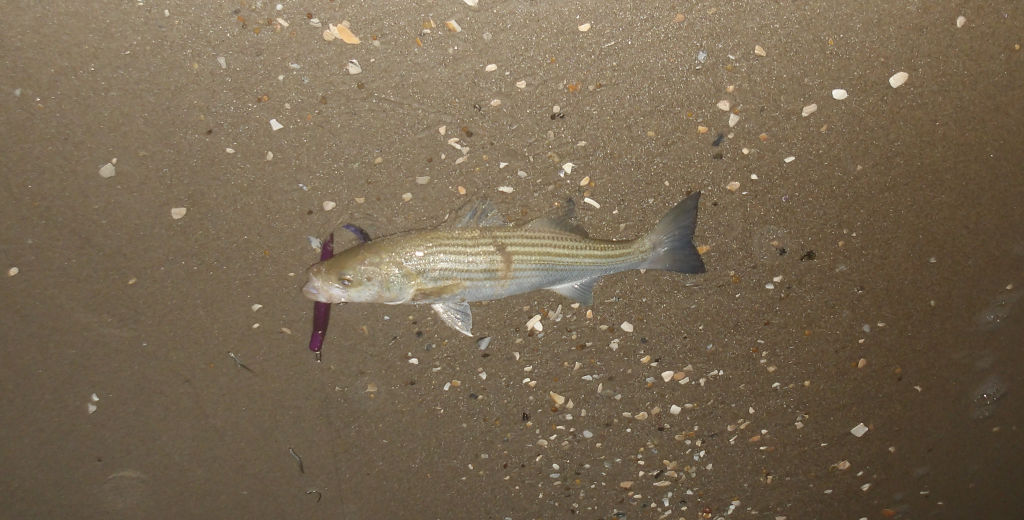 6/14/2026 Redfin
